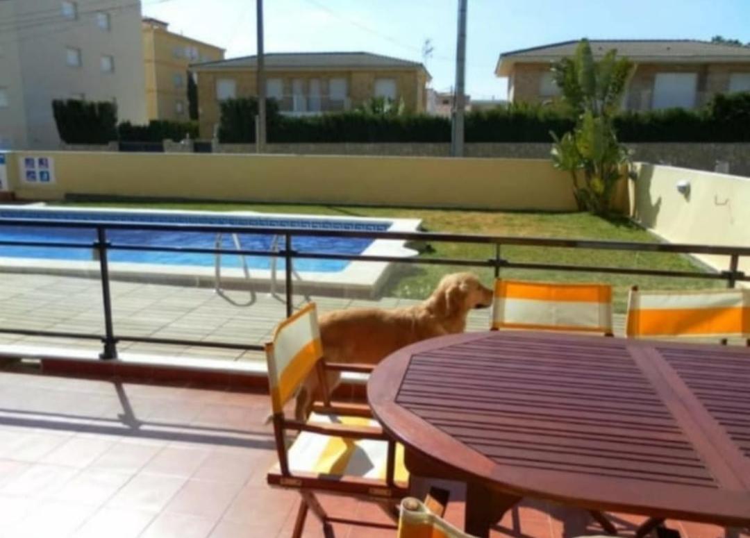 Apartamento Con Terraza Y Acceso Directo A La Piscina Y A 50 M De La Playa Миами-Плайя Экстерьер фото